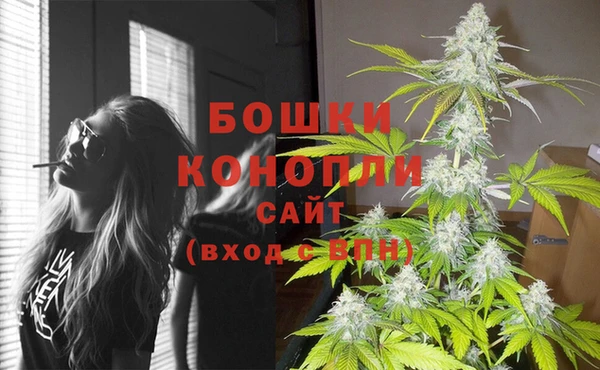 бошки Корсаков
