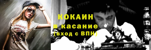 стафф Коряжма