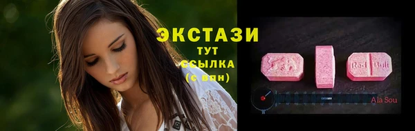 стафф Коряжма