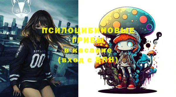 бошки Корсаков