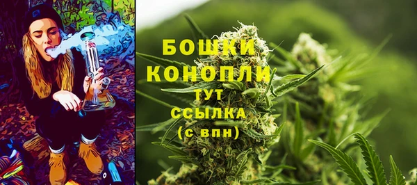 бошки Корсаков