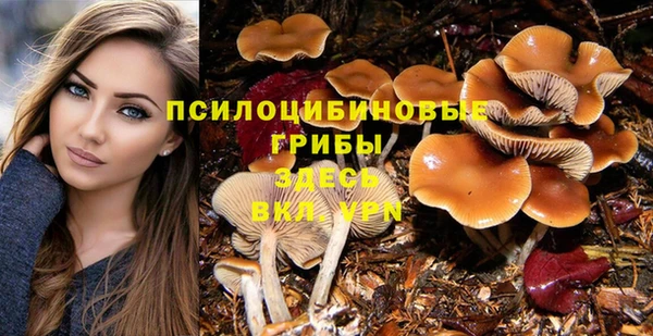 бошки Корсаков