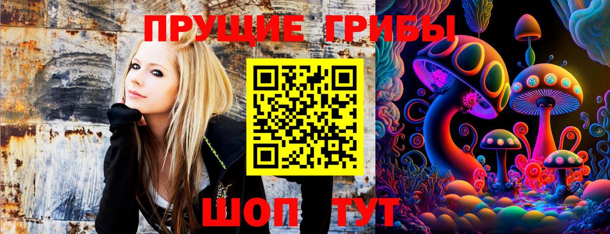 наркошоп  Вход с VPN  Йошкар-Ола  Галлюциногенные грибы Cubensis 