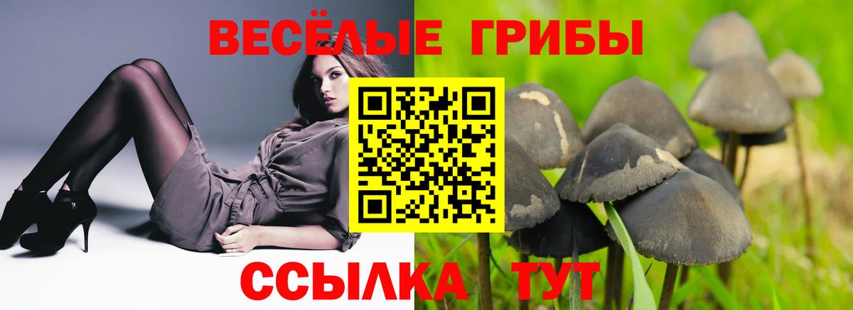 Галлюциногенные грибы Psilocybine cubensis Йошкар-Ола